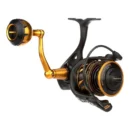 Penn Slammer 4 Spinning