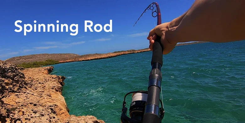 Spinning Rod