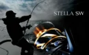 Shimano Stella SW 6000HG C