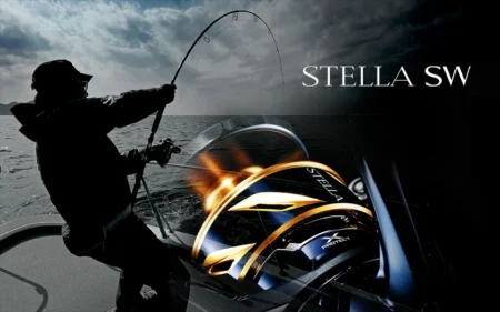 Shimano Stella SW 6000HG C