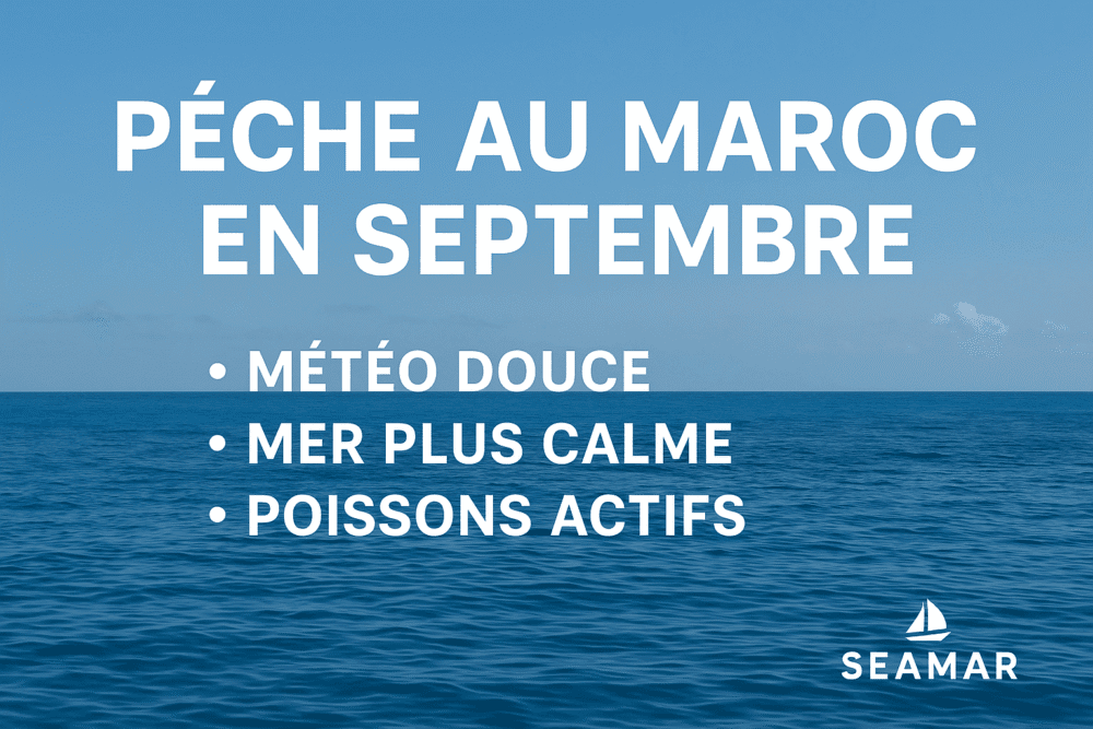 Pêche au Maroc en septembre : conditions Espèces & spots